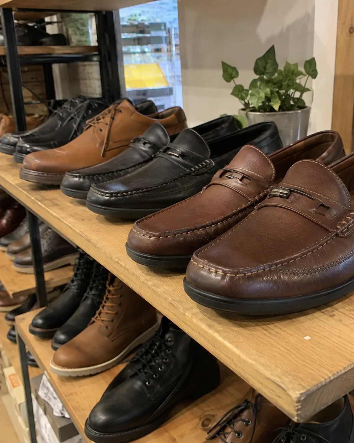 Leather shoes arranged on a wooden display shelf